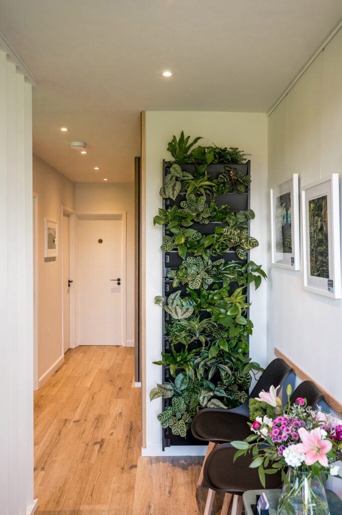 007 MeganJackson BettyBhandariPhotography converted