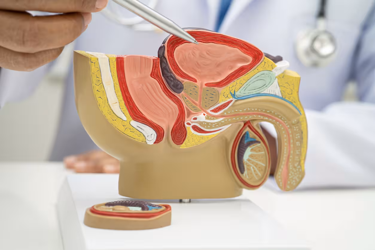 Erectile Dysfunction ED converted 1